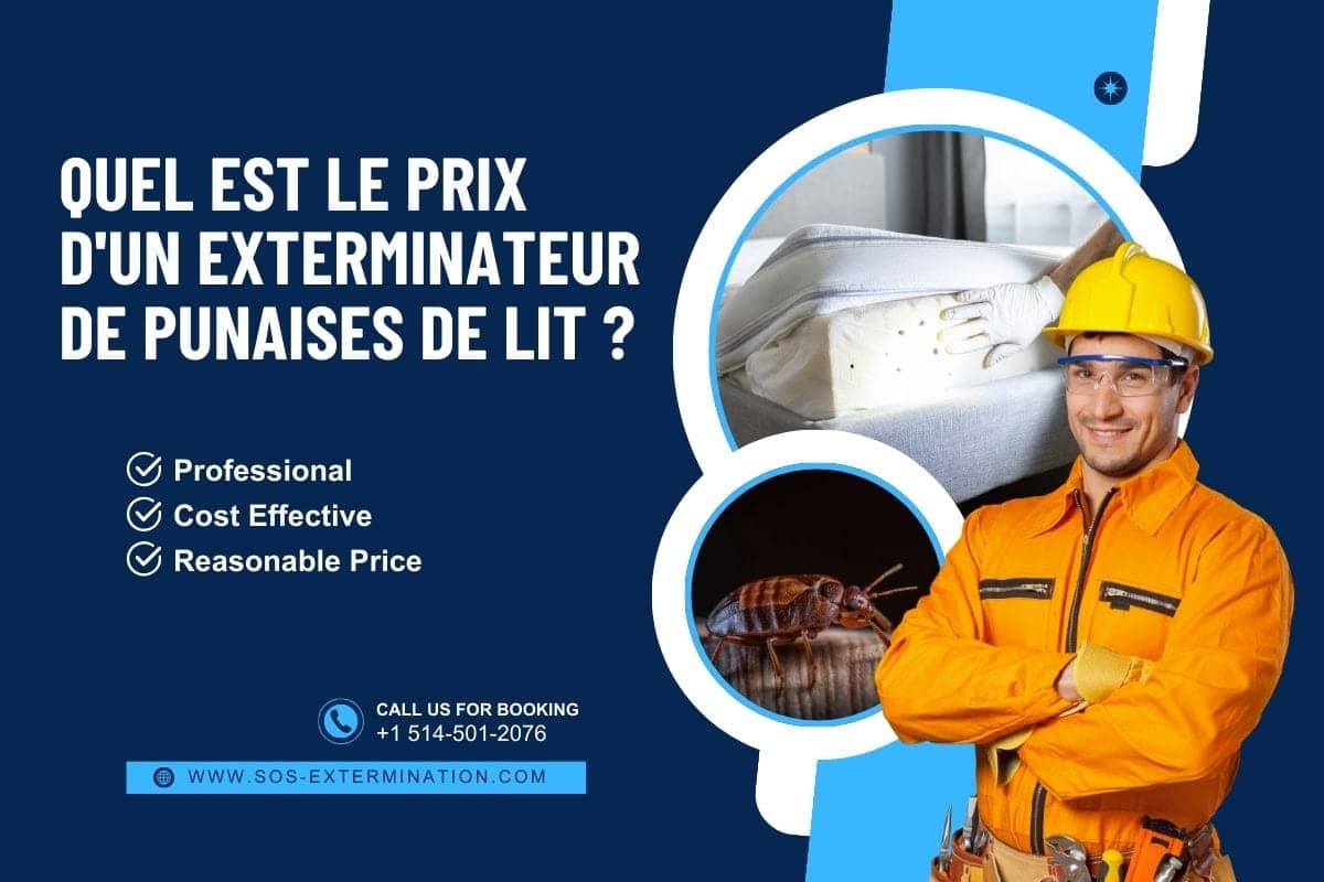 Exterminateur de punaises de lit professionnel avec services à coût efficace et prix raisonnable à Montréal, assurance de lutte contre les parasites pour votre maison.