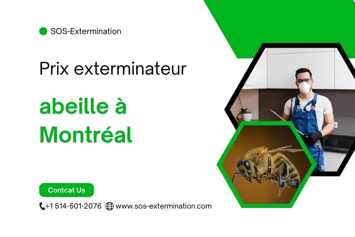 Extermination d'abeilles à Montréal par SOS Extermination, spécialiste en contrôle de nuisibles et enpiégeage d'insectes, offrant des services professionnels pour éliminer les abeilles.