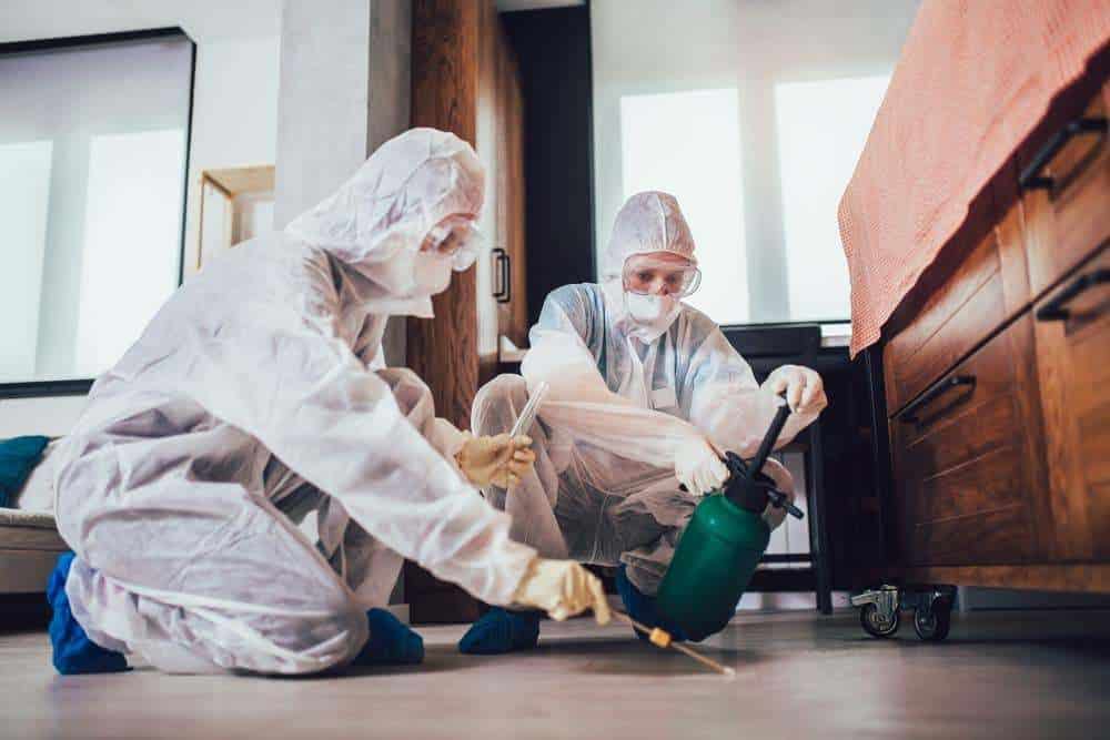Pest control professionals in protective suits performing extermination treatment in a residential kitchen.