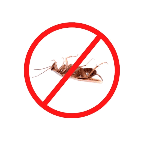 [TROUVEZ Tous Les Services Anti-Punaises].