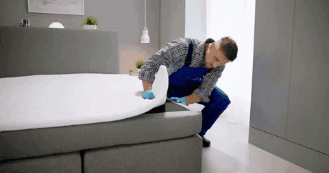 Aide professionnelle en extermination de parasites et rongeurs dans une maison moderne, service fiable pour la lutte contre les infestations de punaises de lit, fourmis, et souris.