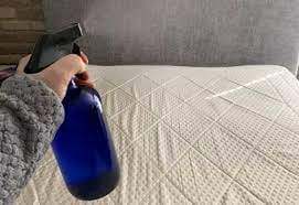 Spray antiparasitaire pour éliminer les insectes et les nuisibles, traitement professionnel de lutte contre les infestations pour maison et entreprise.