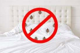 Insectes éliminés, maison propre, service d'extermination professionnel, lutte antiparasitaire, désinsectisation efficace, SOS Extermination.