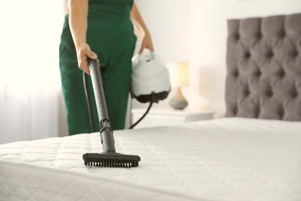 Élimination des insectes et ravageurs dans la maison par SO S Extermination, spécialiste en lutte antiparasitaire. Service professionnel pour un environnement sans parasites.