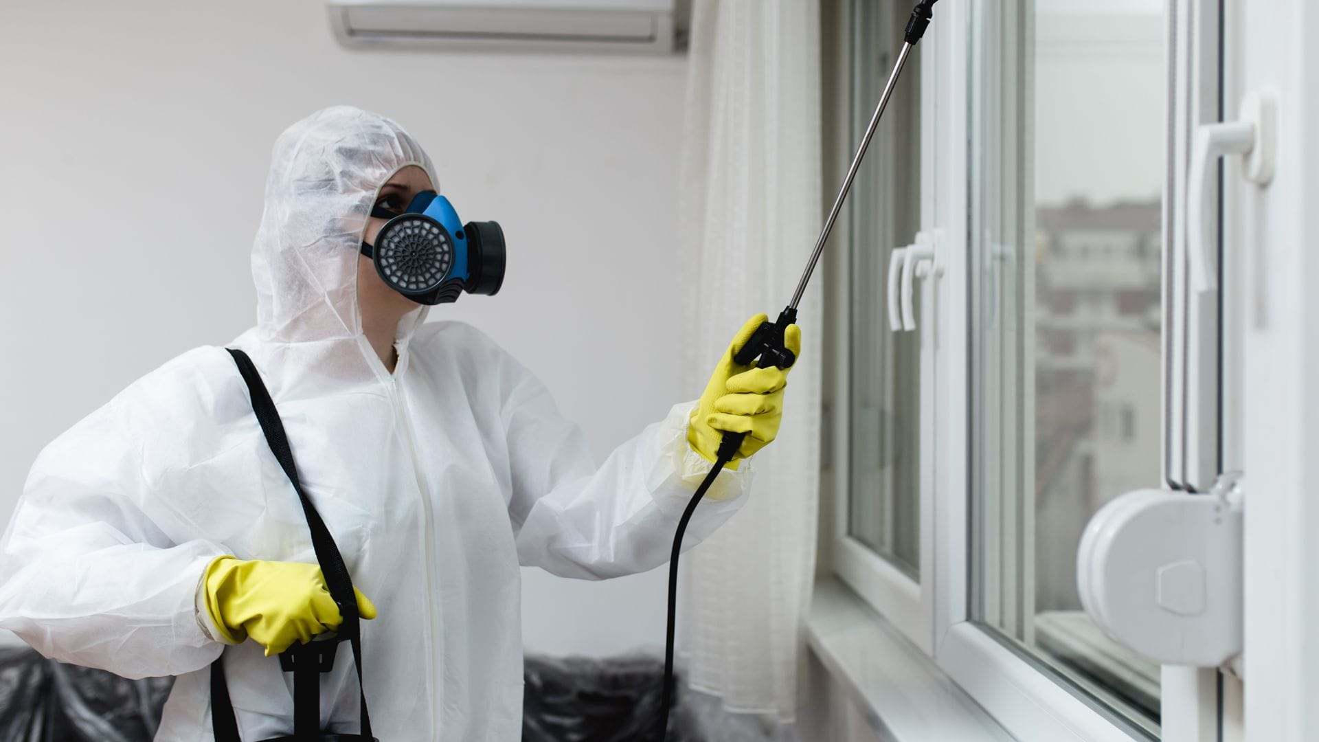 Contrôleur de pest control en combinaison de protection, utilisant un pulvérisateur pour traitement contre les nuisibles dans un bâtiment résidentiel ou commercial.