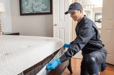 Inspecteur en extermination éliminant les nuisibles dans une chambre à coucher, service professionnel de lutte contre les insectes et les rongeurs.