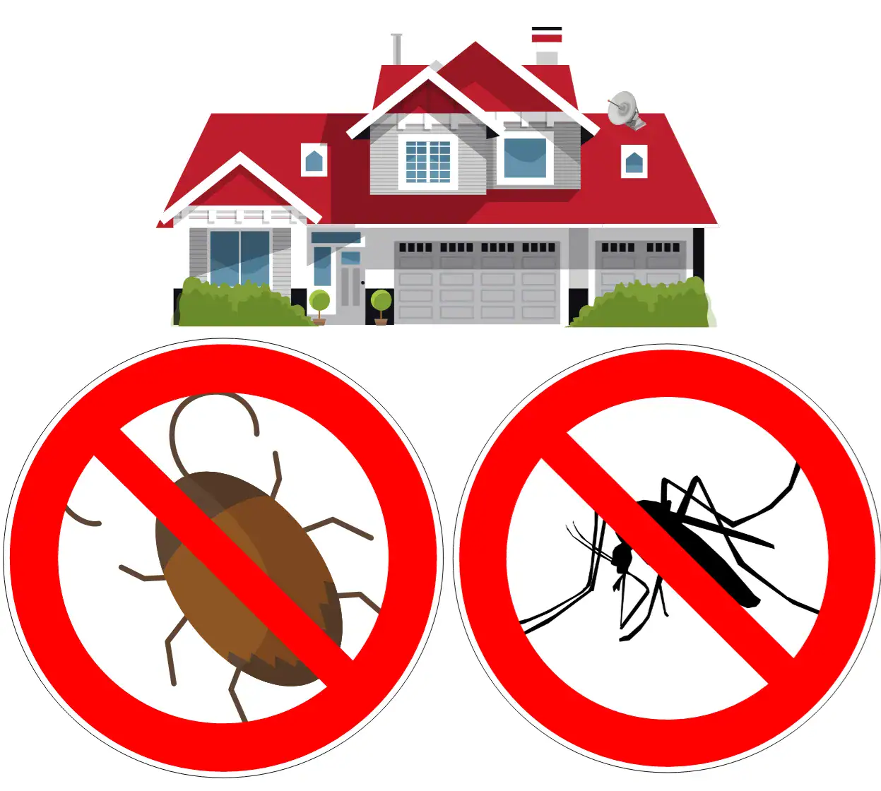 Trouble de punaises et moustiques : Extermination de nuisibles à domicile pour éliminer les insectes indésirables. Service professionnel pour une maison sans parasites.