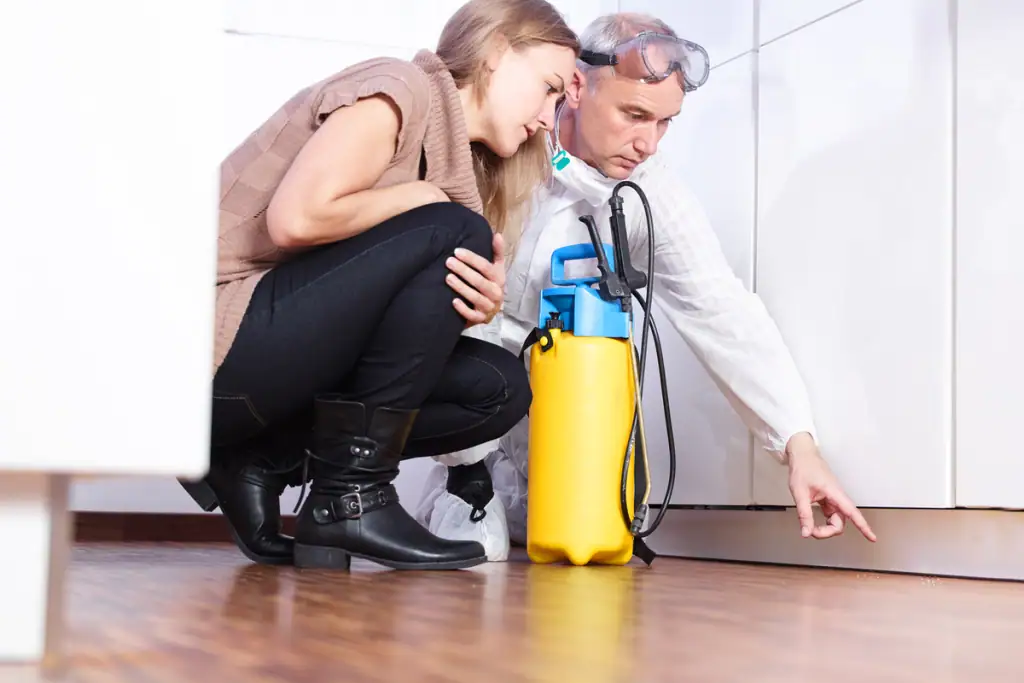 Femme souffrant de l'infestation de parasites, pest control, extermination sécuritaire et professionnel, intervention contre les insectes et rongeurs, élimination efficace des nuisibles.