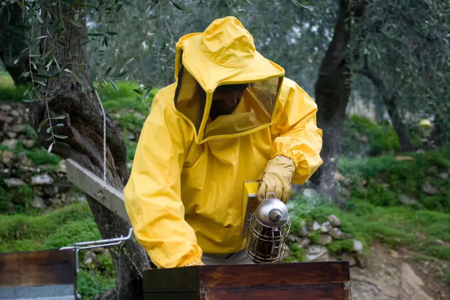 Piégeur en combinaison de protection jaune utilisant un fumigateur pour éliminer les nuisibles dans un environnement naturel.